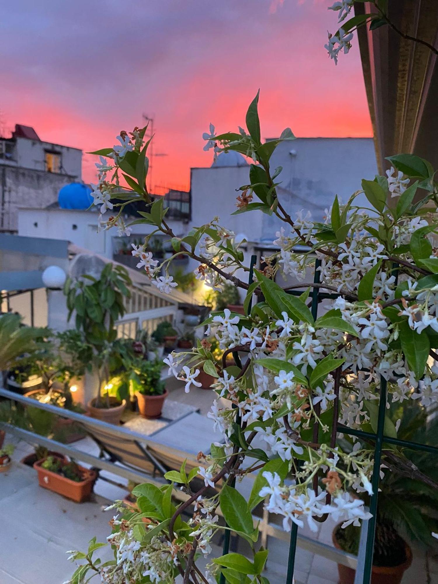 Casa Franzese Bed & Breakfast Napoli Bagian luar foto